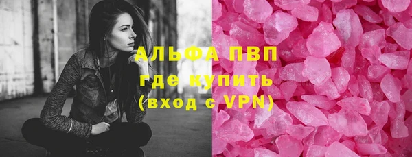стаф Вязьма