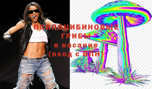 ешки Волоколамск