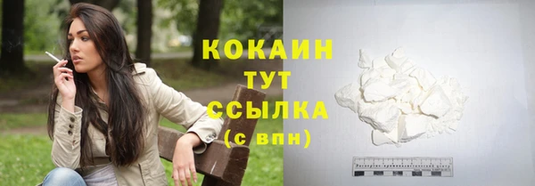 стаф Вязьма