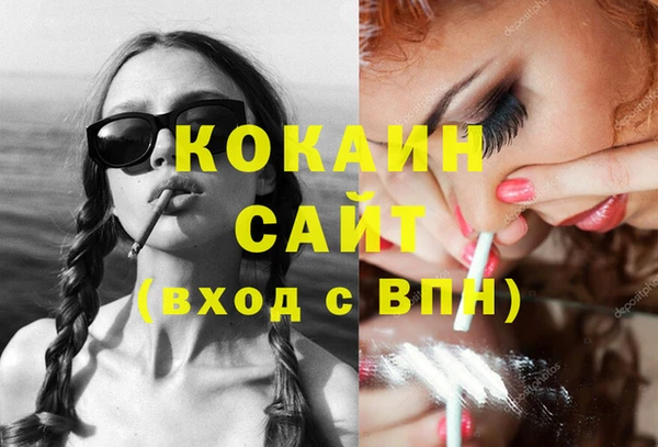 стаф Вязьма