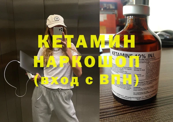 стаф Вязьма