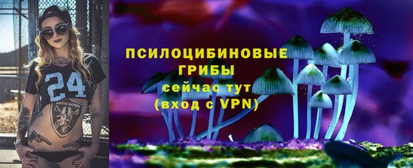 стаф Вязьма