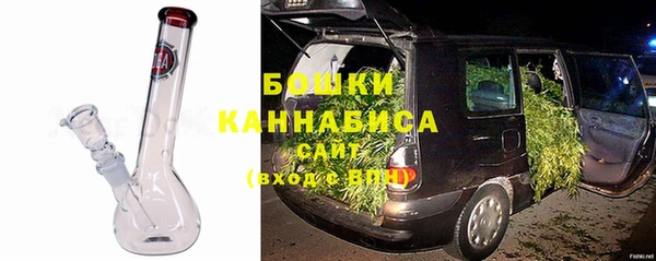 стаф Вязьма