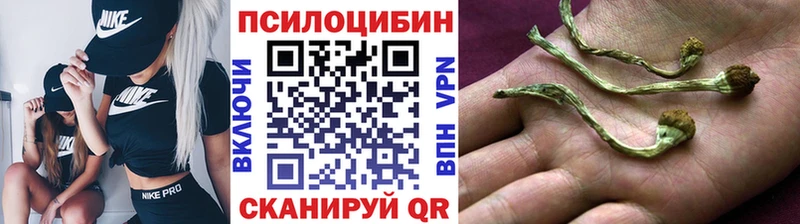 Псилоцибиновые грибы мицелий  купить закладку  Лиски 